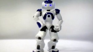 Humanoid-Robot
