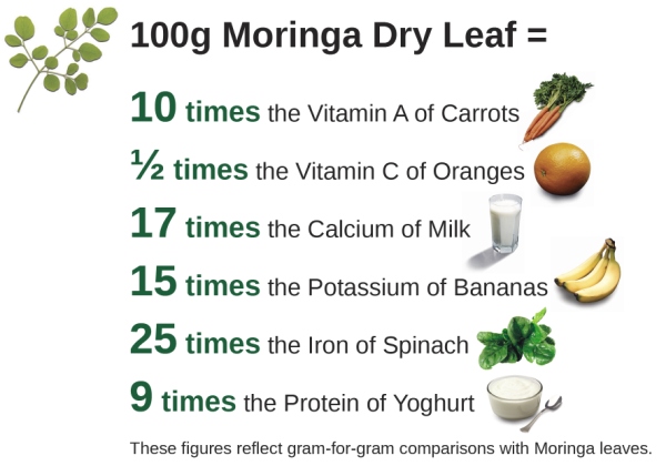 moringa-dry-leaf-values