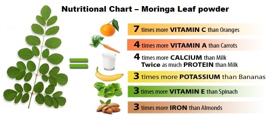 Moringa-Benefits
